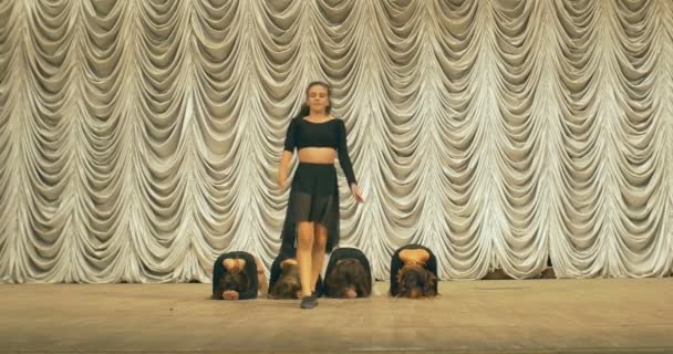 Moderní taneční vystoupení tanečníků na scéně. Pohled zepředu. — Stock video
