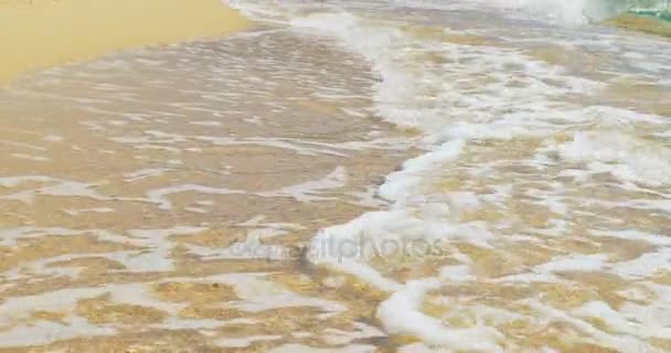 Волны высаживаются на песчаный пляж. Чистая голубая вода — стоковое видео