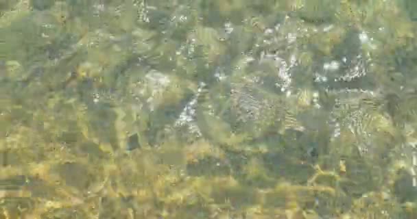 Köpüklü taze dalgalı temiz su bir güneşli yaz gününde parlıyor. Deniz — Stok video