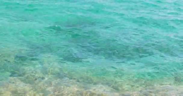 Brillante agua clara y ondulada fresca está brillando en un día soleado de verano. Mar. — Vídeo de stock