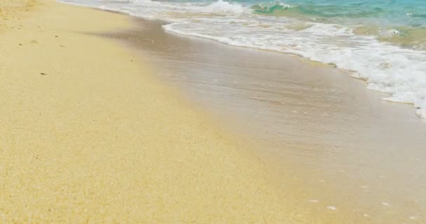 Onde che atterrano sulla spiaggia sabbiosa. Acqua cristallina blu — Video Stock