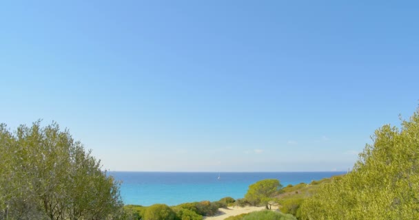 Panoramisch uitzicht op zee op een zonnige zomerdag. Jacht op de horizon. Zee landschap. Helder blauw water — Stockvideo