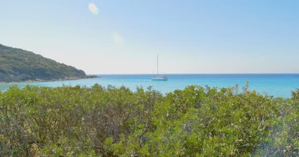 Panoramautsikt över havet på solig sommardag. Yacht på horisonten. Hav-landskap. Klarblått vatten — Stockvideo