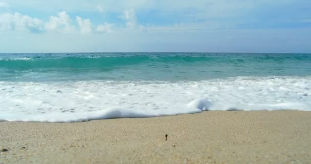 Хвилі приземляються на піщаному пляжі. Прозора блакитна вода — стокове відео