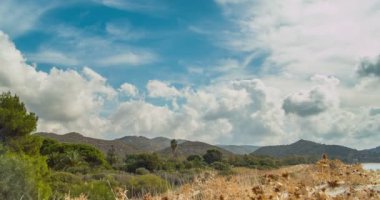 Dağ manzarası ve bulutlar. Avuç içi ve ağaçlar. Timelapse