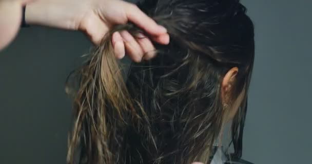 Mujer estilista peinando cabello. Preparación del cabello — Vídeos de Stock