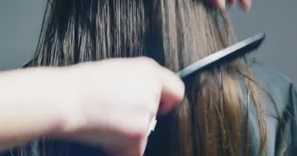 Parrucchiere donna pettinando i capelli. Preparazione dei capelli — Video Stock