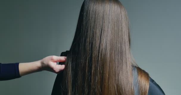 Mulher cabeleireiro penteando. Preparação do cabelo — Vídeo de Stock