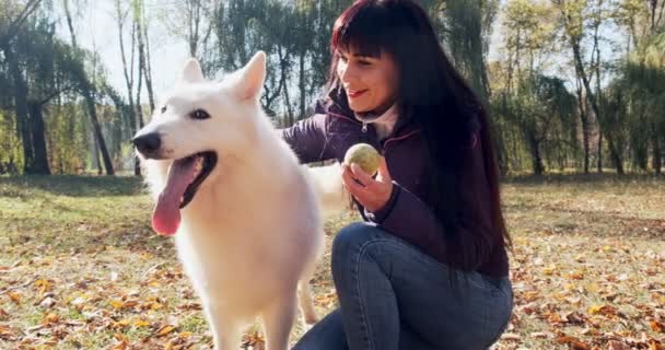 Χαρούμενη γυναίκα που παίζει χαρούμενα και κάθεται με το σκύλο στο πάρκο του φθινοπώρου. Αγάπη και φιλία με τα κατοικίδια ζώα. Λευκός Ποιμενικός — Αρχείο Βίντεο
