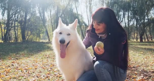 Mutlu bayan güler yüzlü bir şekilde sonbahar parkında köpekle oynuyor ve onunla oturuyor. Evcil hayvanlarla sevgi ve arkadaşlık. Beyaz Çoban — Stok video