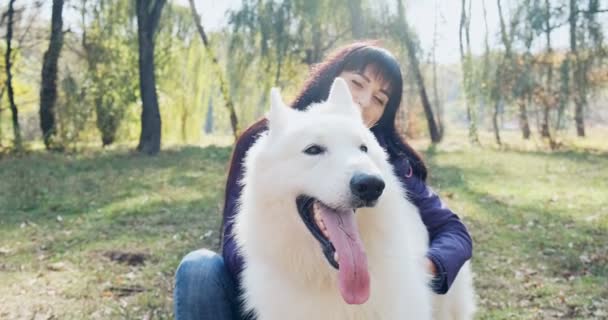 Mutlu bayan güler yüzlü bir şekilde sonbahar parkında köpekle oynuyor ve onunla oturuyor. Evcil hayvanlarla sevgi ve arkadaşlık. Beyaz Çoban — Stok video