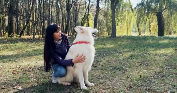 Mutlu bayan güler yüzlü bir şekilde sonbahar parkında köpekle oynuyor ve onunla oturuyor. Evcil hayvanlarla sevgi ve arkadaşlık. Beyaz Çoban — Stok video