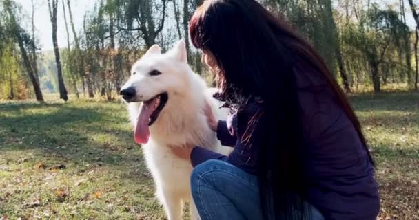 Feliz hembra jugando alegremente y sentada con el perro en el parque de otoño. Amor y amistad con los animales domésticos. Pastor blanco — Vídeo de stock