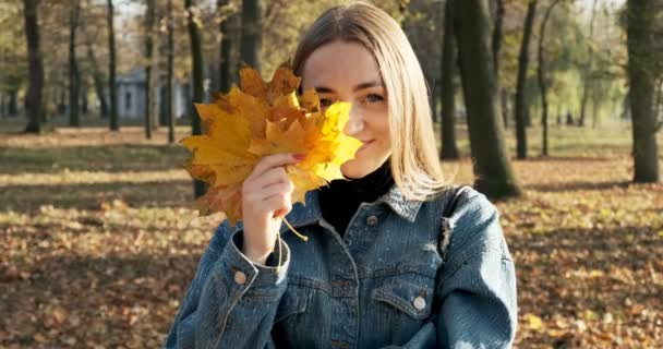 Belle femme souriante en veste de jeans tenant une feuille d'érable tombée près de son visage dans un parc d'automne jaune 