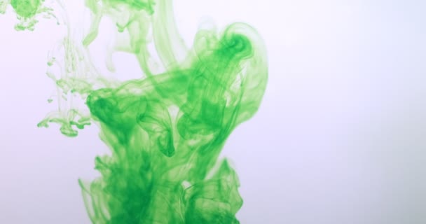 Groene kleur verf inkt druppels in water op witte achtergrond. Stinkende wolk die onder water stroomt. Abstract geïsoleerde wolkenexplosie — Stockvideo