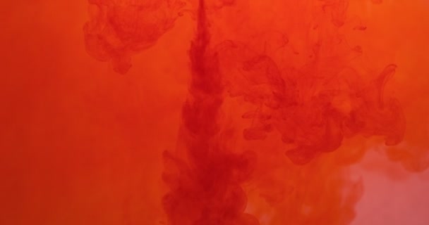 Colore rosso vernice inchiostro gocce in acqua su sfondo bianco. Nuvola d'inchiostro che scorre sott'acqua. Astratto isolato nuvoloso esplosione di fumo — Video Stock