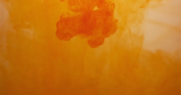 Oranje kleur verf inkt druppels in water op witte achtergrond. Stinkende wolk die onder water stroomt. Abstract geïsoleerde wolkenexplosie — Stockvideo