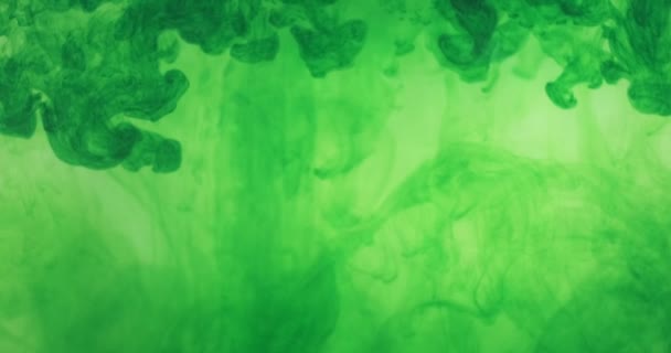 Πράσινο χρώμα μελάνι σταγόνες χρώμα στο νερό σε λευκό φόντο. Μελανιασμένο σύννεφο ρέει κάτω από το νερό. Αφηρημένη απομονωμένη έκρηξη καπνού — Αρχείο Βίντεο
