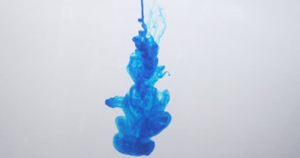Μπλε χρώμα μελάνι σταγόνες χρώμα στο νερό σε λευκό φόντο. Μελανιασμένο σύννεφο ρέει κάτω από το νερό. Αφηρημένη απομονωμένη έκρηξη καπνού — Αρχείο Βίντεο
