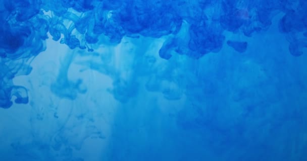 Blå färg bläck droppar i vatten vid vit bakgrund. Inky moln som flyter under vattnet. Abstrakt isolerad molnig rökexplosion — Stockvideo