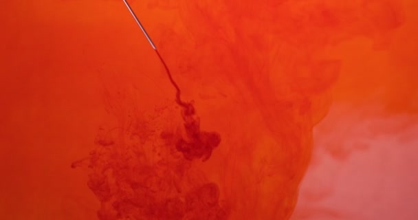 Aguja inyectando sangre en el agua en el fondo blanco. Nube roja de tinta que fluye bajo el agua. Explosión de humo nublado aislado abstracto — Vídeos de Stock