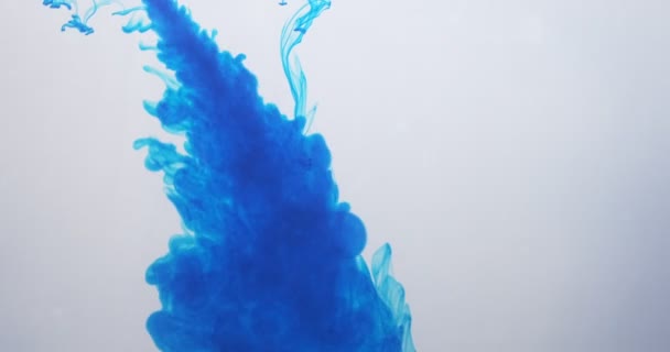 blaue Farbe Farbe Farbe Tropfen in Wasser auf weißem Hintergrund. Eine dunkle Wolke, die unter Wasser fließt. abstrakte isolierte bewölkte Rauchexplosion