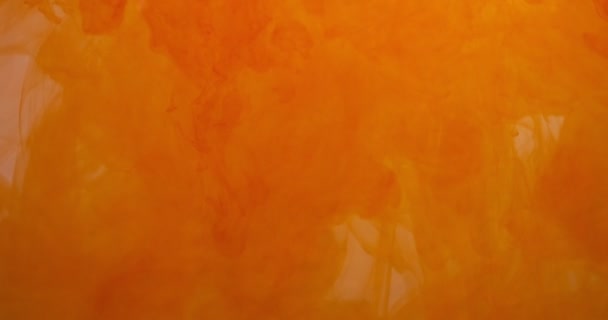 Oranje kleur verf inkt druppels in water op witte achtergrond. Stinkende wolk die onder water stroomt. Abstract geïsoleerde wolkenexplosie — Stockvideo