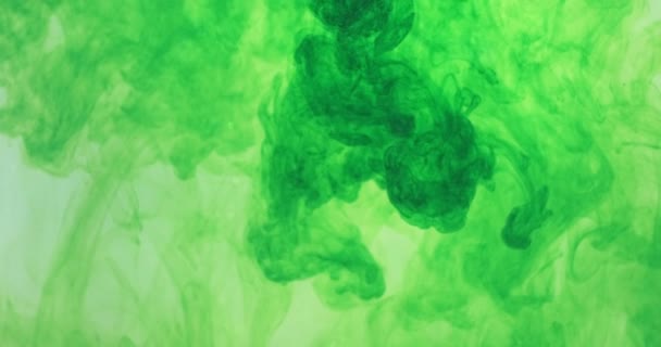 Πράσινο χρώμα μελάνι σταγόνες χρώμα στο νερό σε λευκό φόντο. Μελανιασμένο σύννεφο ρέει κάτω από το νερό. Αφηρημένη απομονωμένη έκρηξη καπνού — Αρχείο Βίντεο