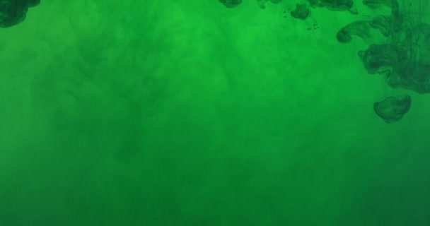 Green color paint ink drops in water at white background. Inky cloud flowing underwater. Abstract isolated cloudy smoke explosion — ストック動画