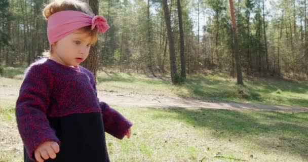 Kozalaklı ormandaki ağaçların arasında yeşil çimenlerde yürüyen mutlu küçük kız. Sosyal izolasyonda sağlıklı çocuk eğlencesi. Bahar ormanı güzelliği — Stok video
