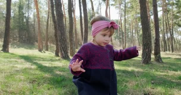 Gadis kecil yang bahagia berjalan di rumput hijau di antara pohon-pohon di hutan konifer. Rekreasi anak yang sehat dalam isolasi sosial. Spring forest beauty — Stok Video