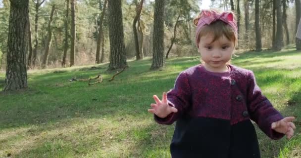 Щаслива маленька дівчинка гуляє зеленою травою серед дерев у хвойних лісах. Здоровий відпочинок дітей у соціальній ізоляції. Весняний ліс красуня — стокове відео