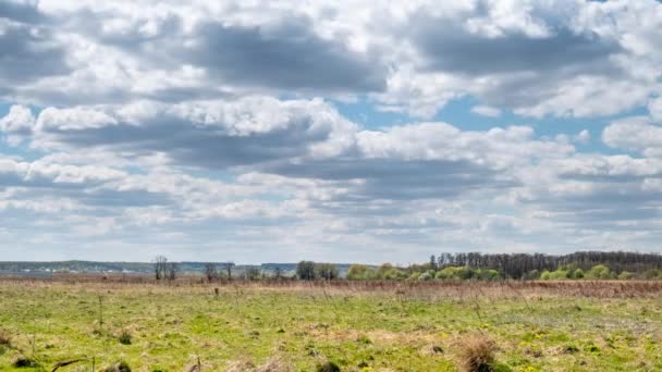 Chmury na dzikim polu wiosną. Czas upływa. — Wideo stockowe