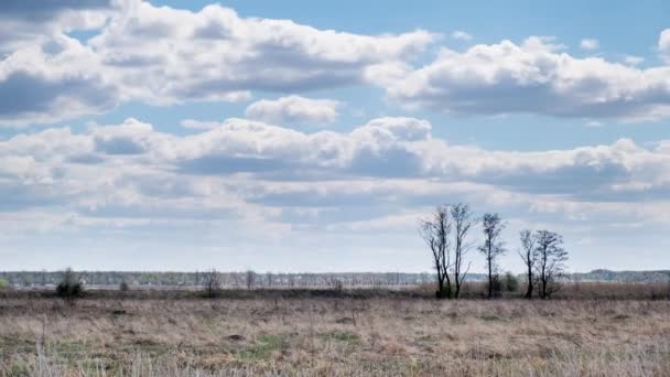 Nuvole in campo selvaggio in primavera. Scadenza temporale — Video Stock