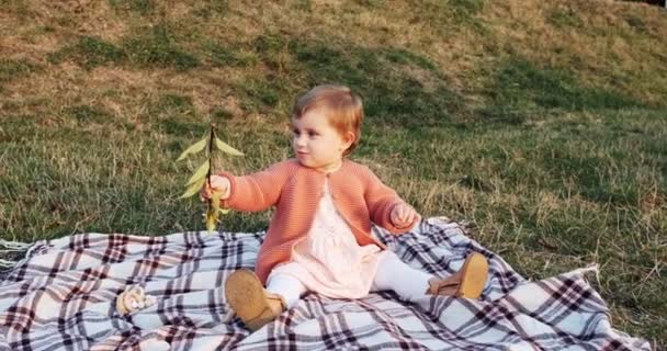 Mała dziewczynka zabawna gra w parku na zielonej trawie na świeżym powietrzu — Wideo stockowe