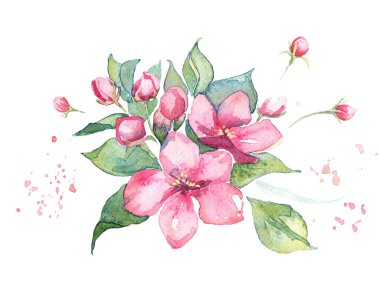 pembe suluboya çiçekler, elma ağacı veya kiraz veya kayısı veya badem çiçeği çizimi