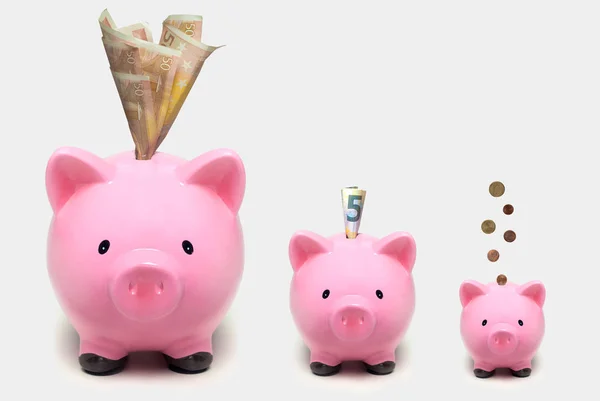 Domuzcuk bankalar boyutu Euro ile artan. Artan yatırım kavramı