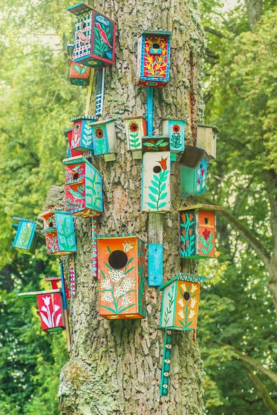 Yaz güneşinin ağaç üzerinde renkli iç içe geçmiş kutular