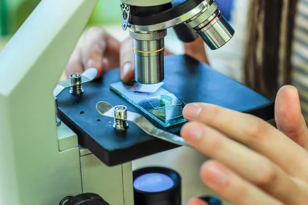 öğrencilerin deneme ve bilim sınıfta keşfetmek