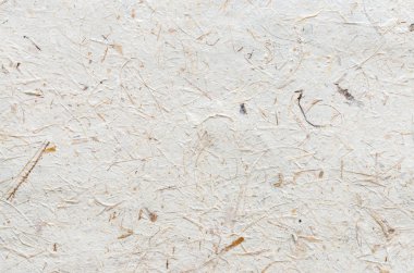 Kurutulmuş ot doku arka plan ile dut kağıt