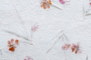 Beyaz dut kağıt petal ve yaprak doku arka plan ile.