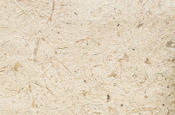 Papel morera con fondo de textura de hierba seca —  Fotos de Stock