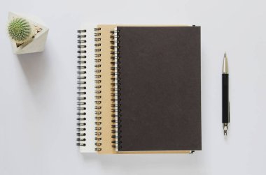 Ofis işyeri kavramı. Defter, kaktüs ve kalem beyaz masa