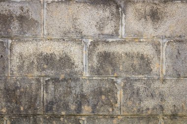 Eski beton duvar arkaplan dokusu