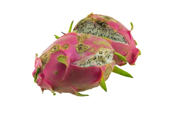 Beyaz arka plan üzerinde izole çürük dragon meyve