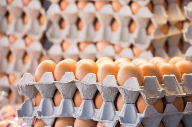 Pakette yumurtalar var.