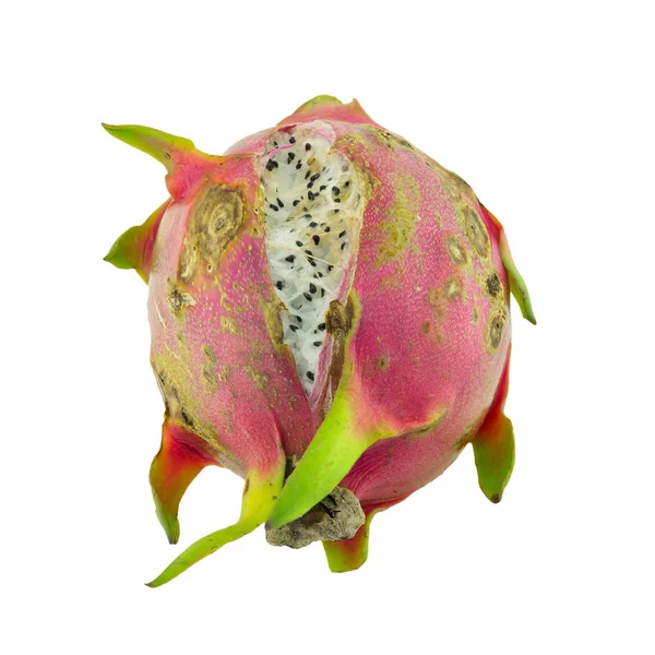 Rotte dragon fruit geïsoleerd op witte achtergrond — Stockfoto