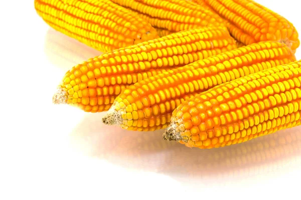 Żółta kukurydza izolowana na białym tle — Zdjęcie stockowe