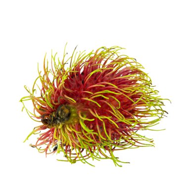 Rambutan beyaz arkaplanda izole edildi