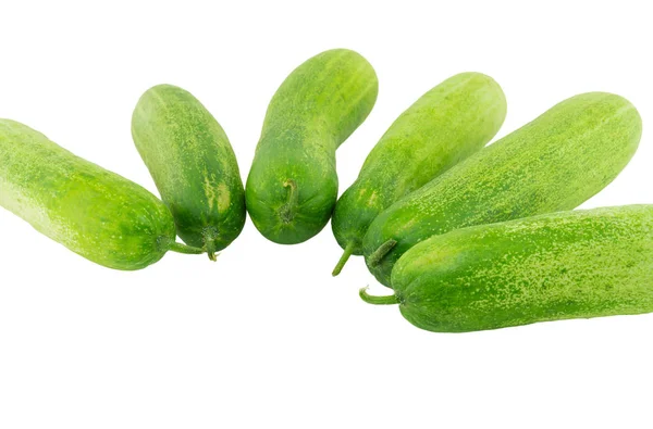 Pepinos verdes aislados sobre fondo blanco —  Fotos de Stock